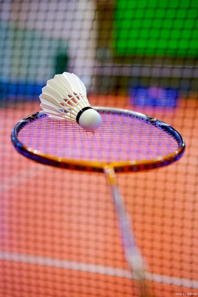 固有的认知 固有的认知