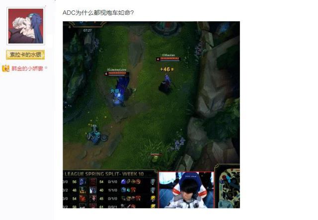 vs非种子 vs非种子